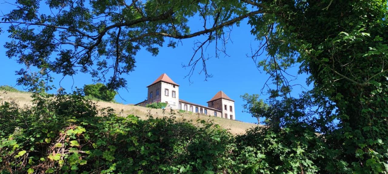 Chateau De Gorze Germolles-sur-Grosne Εξωτερικό φωτογραφία